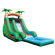 inflatable combo slide palm tree jungle